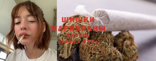 мдпв Лагань
