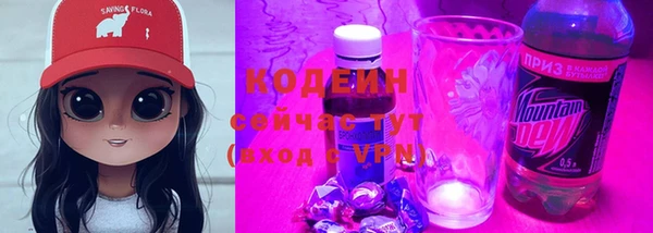 мдпв Лагань