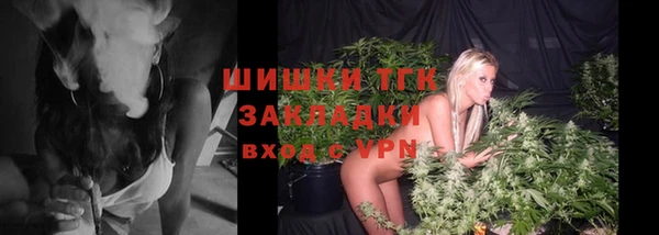 стаф Ладушкин