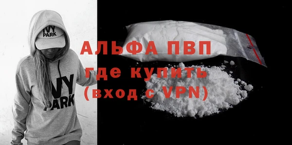 стаф Ладушкин