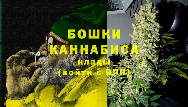 мдпв Лагань