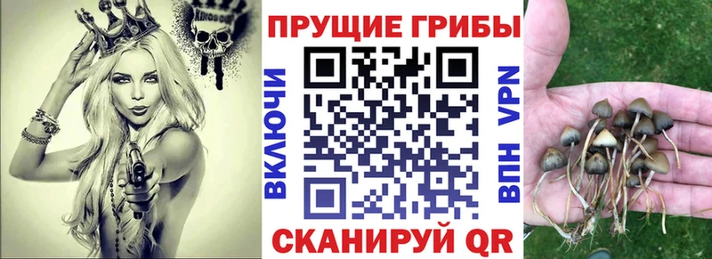Галлюциногенные грибы Cubensis  Яранск 